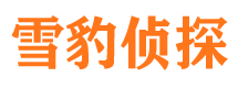 萝北侦探公司